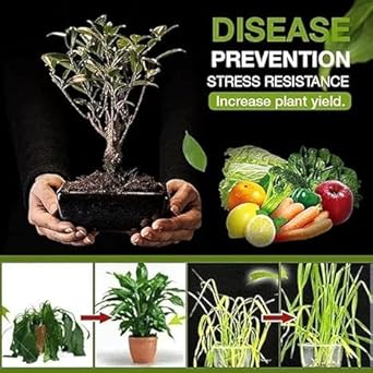 Premium Soil Activator (Pack of 2)